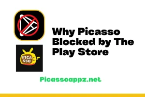 Why Picasso Blocked by The Play Store